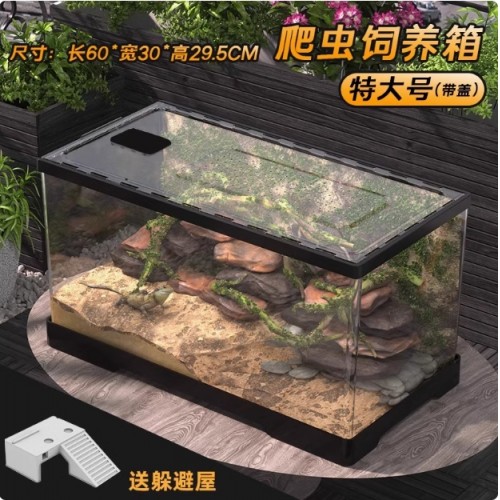 爬宠饲养箱生态雨林缸造景守宫蜥蜴蜘蛛蛇寄居蟹乌龟缸爬虫饲养盒